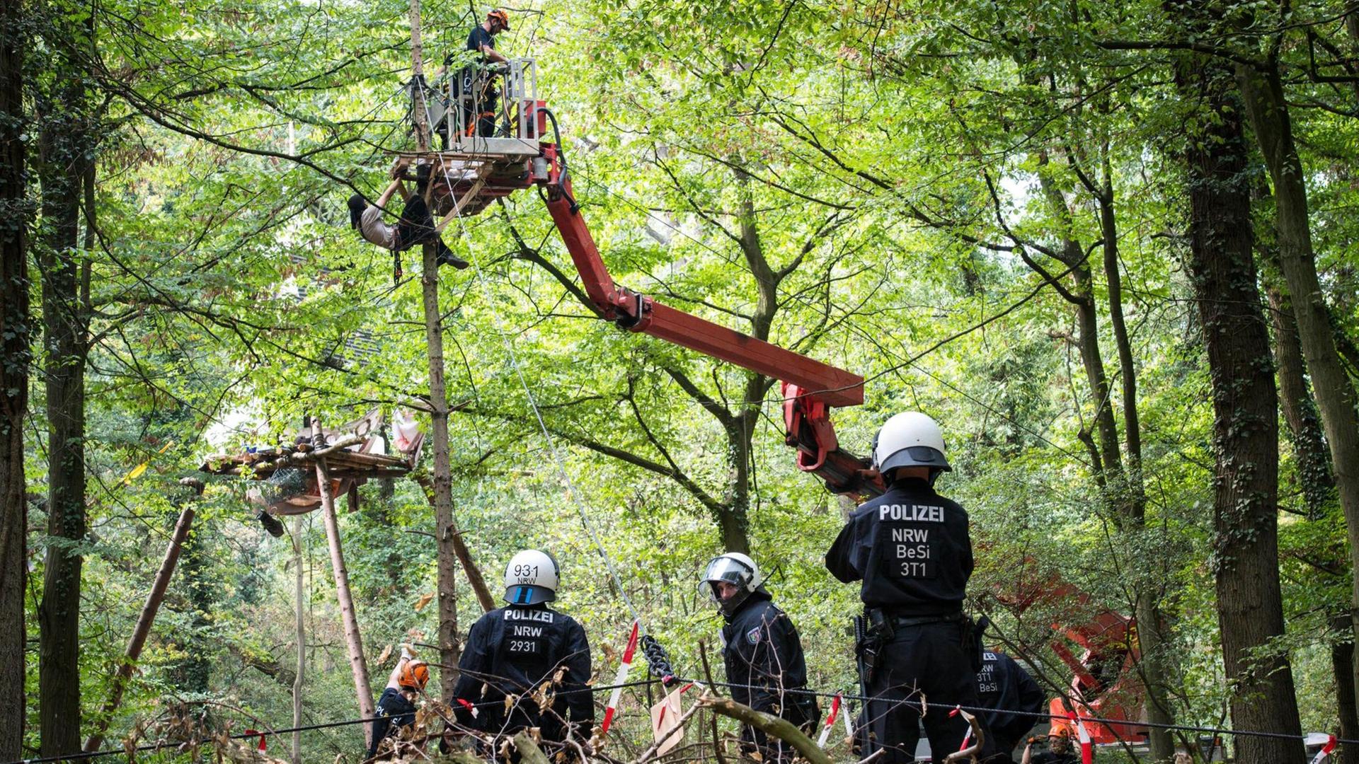 Polizisten räumen Barrikaden im Hambacher Forst bei Kerpen beiseite. Foto: Jana Bauch / dpa | Verwendung weltweit Polizisten räumen Barrikaden im Hambacher Forst bei Kerpen beiseite. Foto: Jana Bauch / dpa | Verwendung weltweit