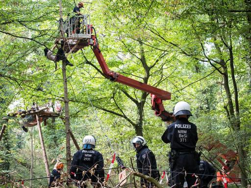 Polizisten räumen Barrikaden im Hambacher Forst bei Kerpen beiseite. Foto: Jana Bauch / dpa | Verwendung weltweit