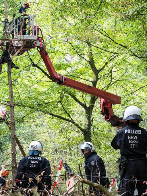 Polizisten räumen Barrikaden im Hambacher Forst bei Kerpen beiseite. Foto: Jana Bauch / dpa | Verwendung weltweit