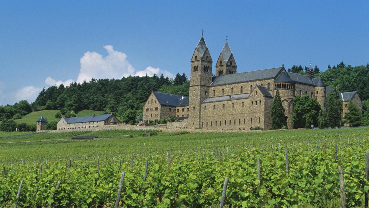 Das Kloster St. Hildegard inmitten von Weinstöcken