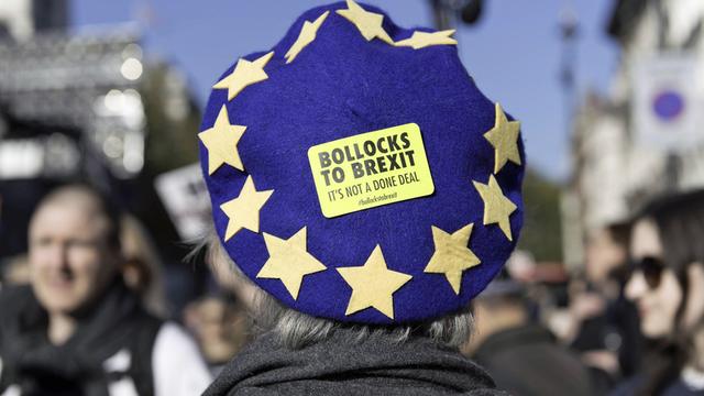 Eine Brexit-Gegnerin bei einer Demonstration in London trägt einen Hut mit der Aufschrift "Blödsinn Brexit" ("bollocks to brexit")