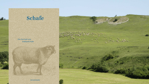 Cover des Buches "Schafe" von Eckhard Fuhr, in Hintergrund: Eine Schafherde auf einer Weide in der Röhn.