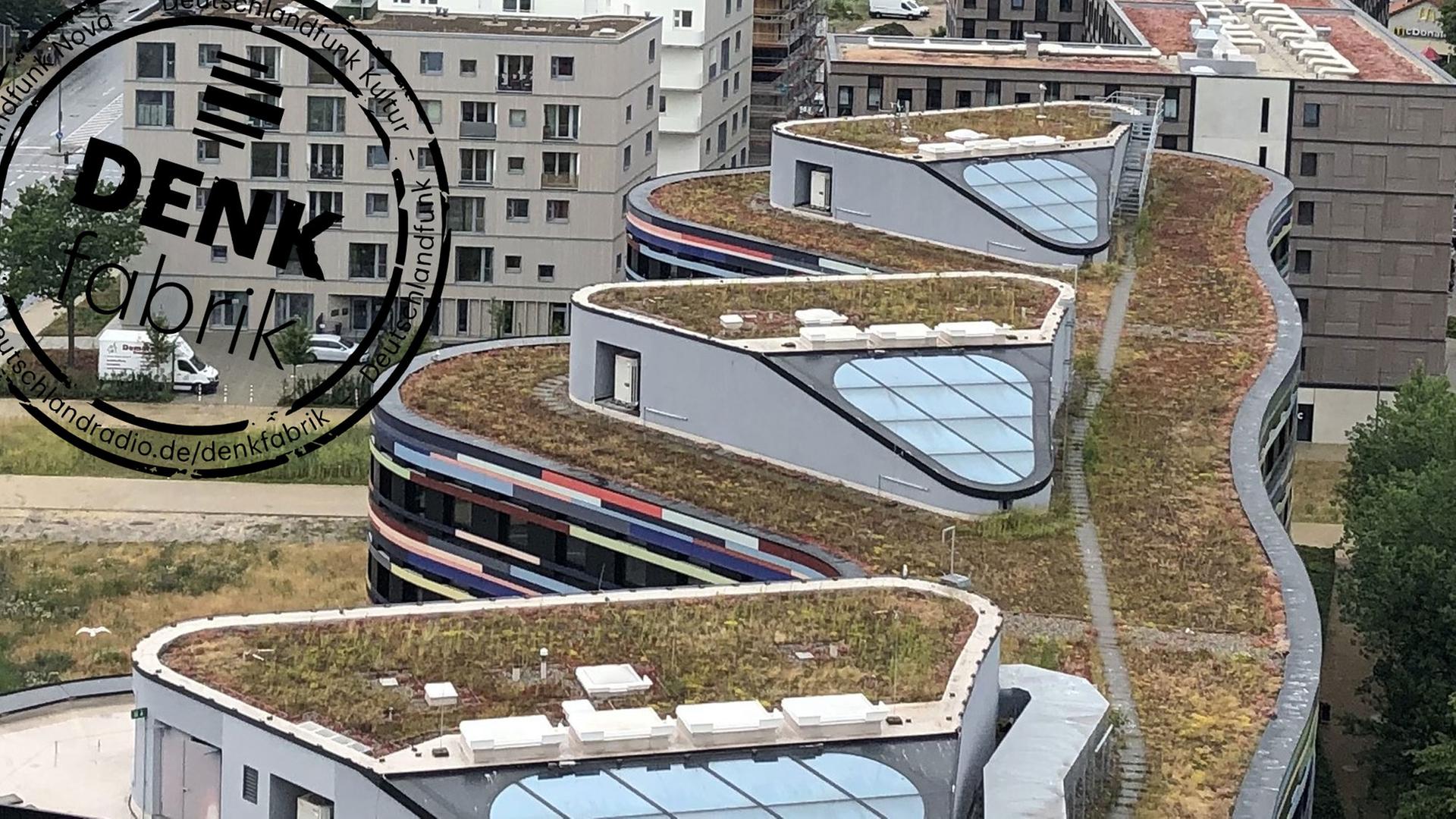 Auch das Dach der Hamburger Umweltbehörde ist begrünt Auch das Dach der Hamburger Umweltbehörde ist begrünt