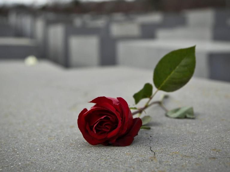 Eine Rose liegt auf einer Stele am Denkmal für die ermordeten Juden Europas in Berlin.