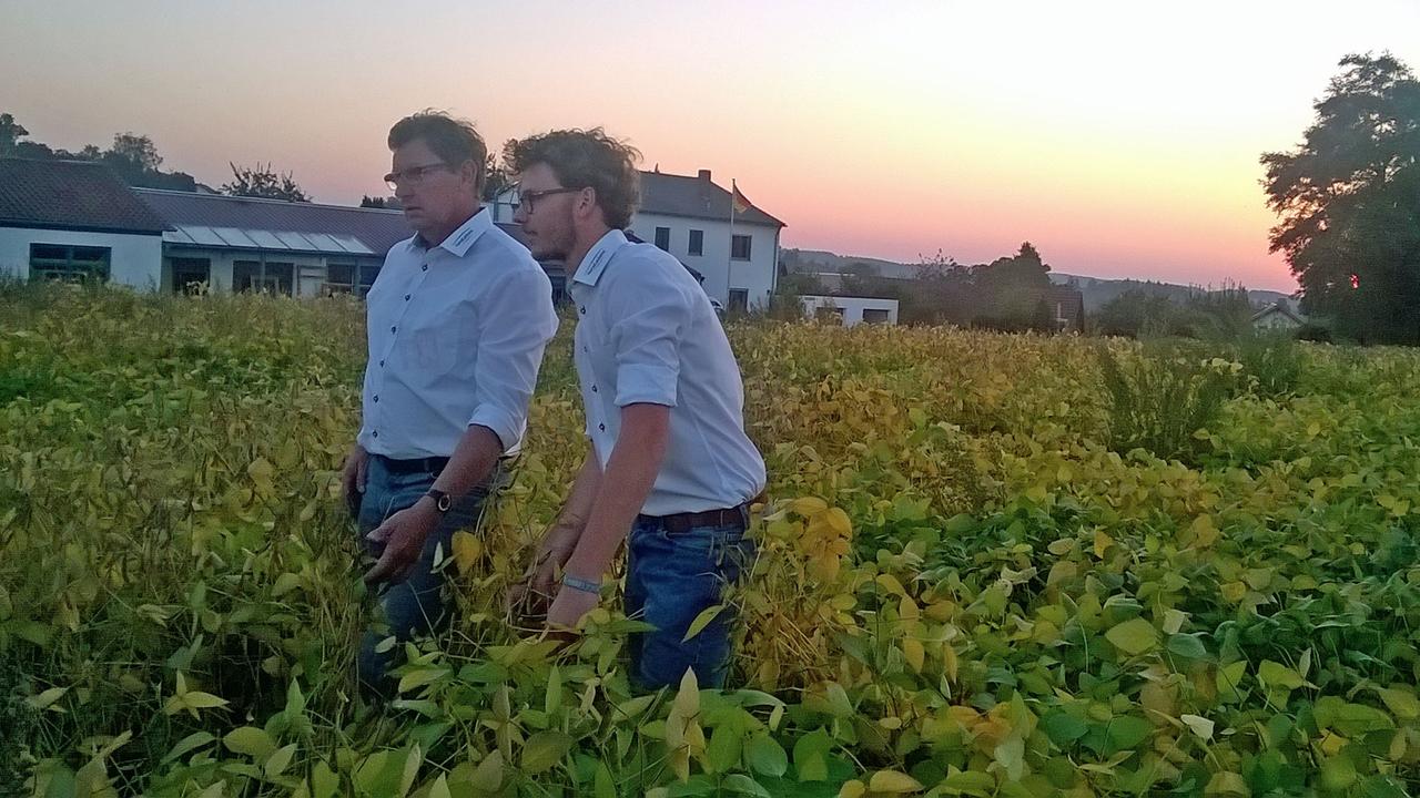Reinhard und Thomas Bauer im Sojafeld Reinhard und Thomas Bauer im Sojafeld