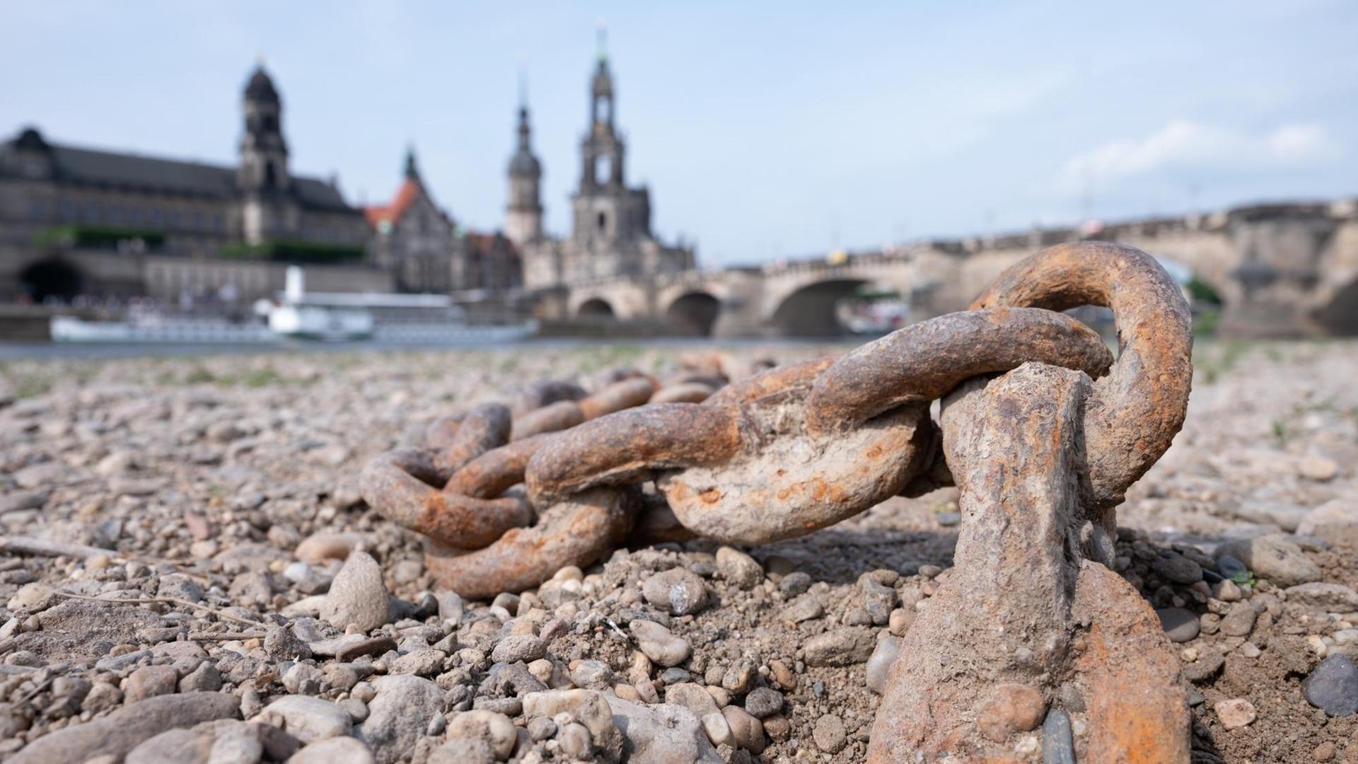 Eine Kette liegt im ausgetrockneten Flussbett am Ufer der Elbe vor der Kulisse der Altstadt Eine Kette liegt im ausgetrockneten Flussbett am Ufer der Elbe vor der Kulisse der Altstadt