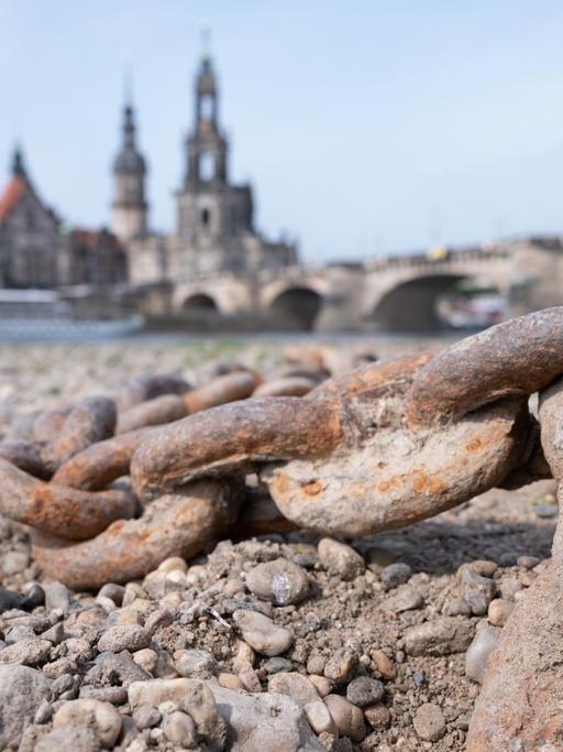 Eine Kette liegt im ausgetrockneten Flussbett am Ufer der Elbe vor der Kulisse der Altstadt