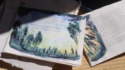 Zwei Seiten mit Original-Illustrationen aus einem Kinderbuch liegen im Halbschatten