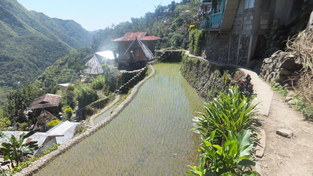 Die Reisterassen auf der philippinischen Insel Luzon gehören zum Weltkulturerbe Die Reisterassen auf der philippinischen Insel Luzon gehören zum Weltkulturerbe