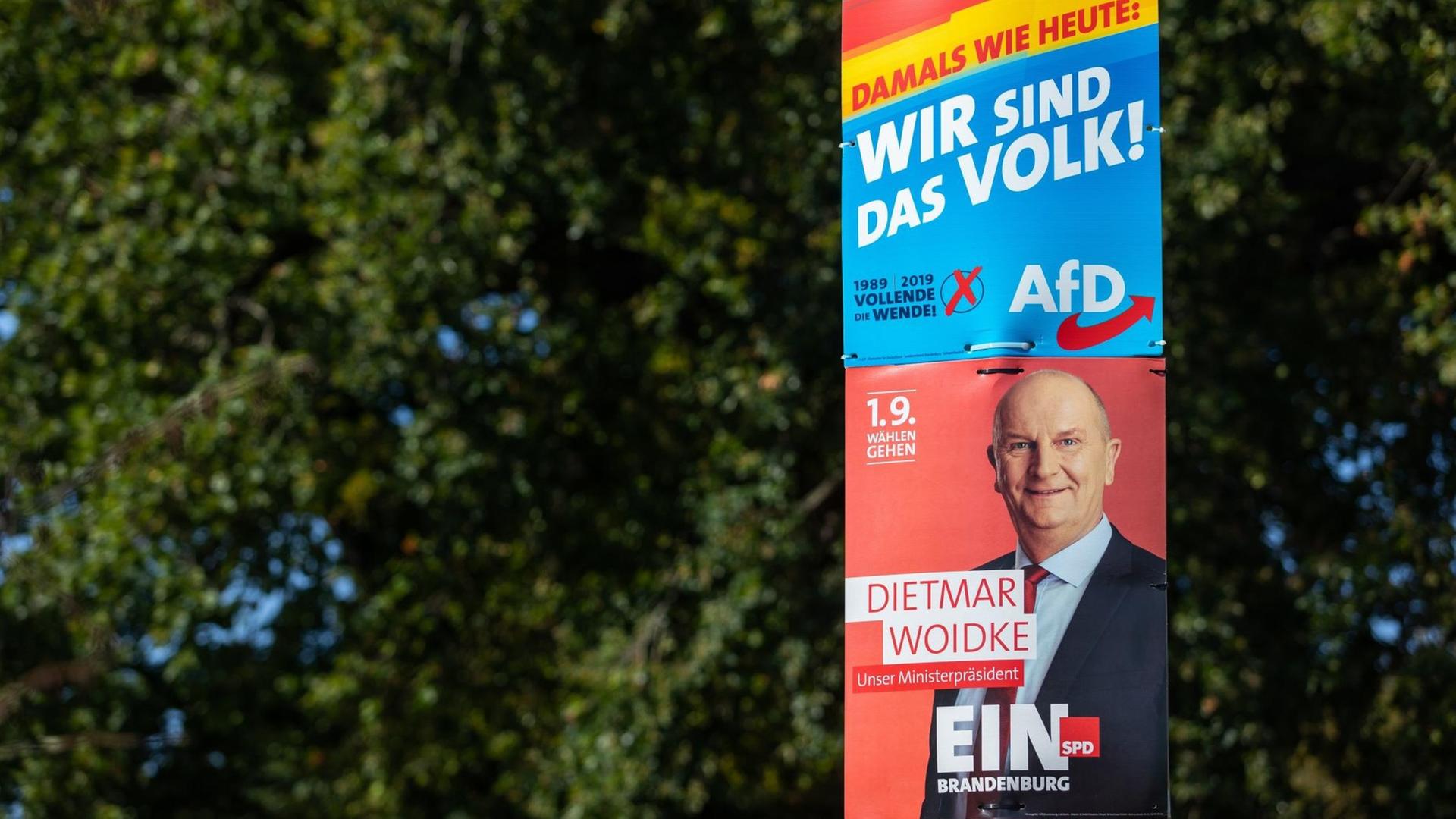 Landtagswahl In Brandenburg - Neue Koalitionen Ante Portas ...