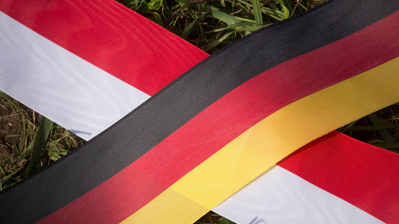 Deutsche und polnische Fahne auf dem Rasen Deutsche und polnische Fahne auf dem Rasen