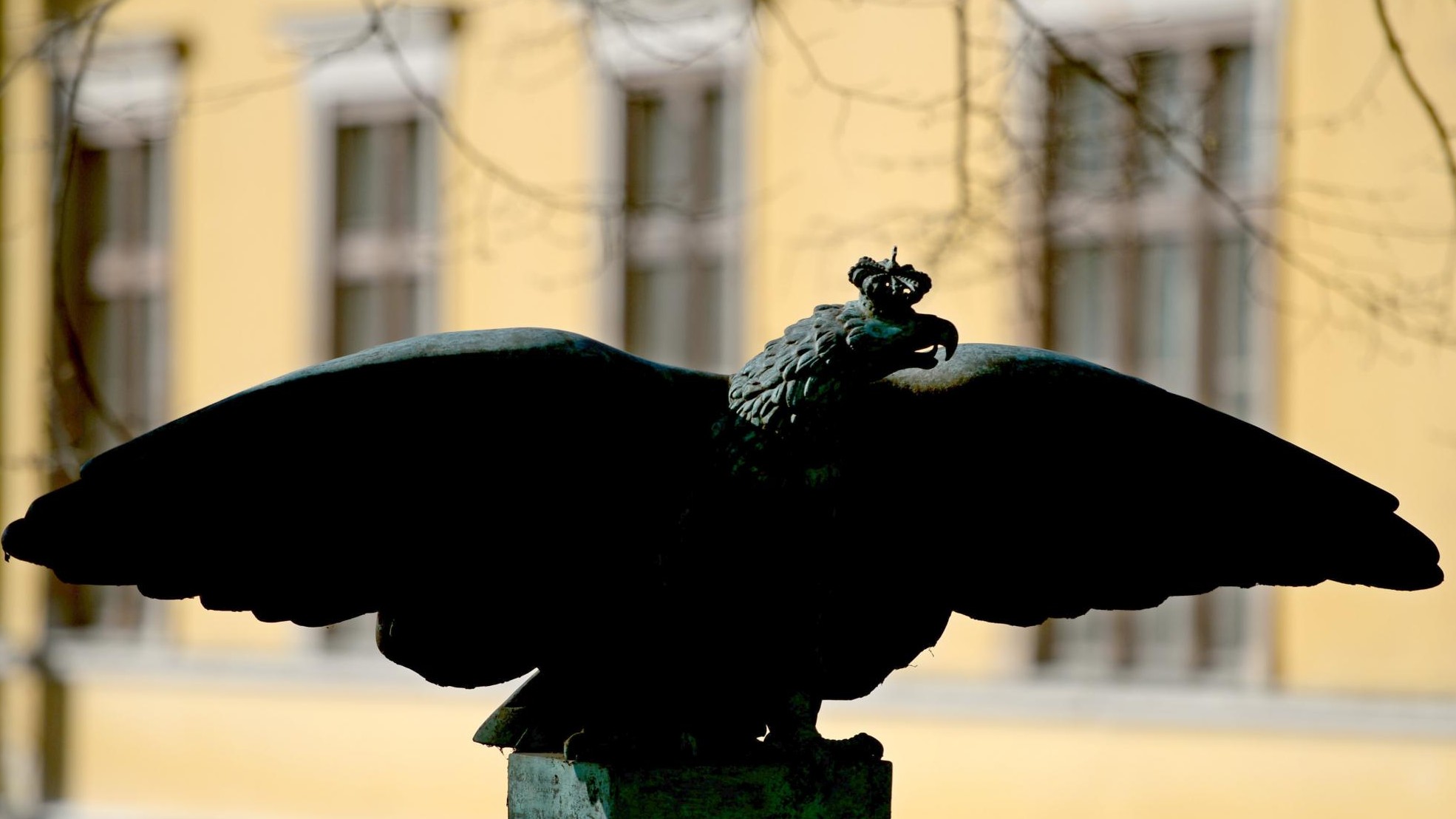 Historiker über Hohenzollern - Kronprinz Wilhelm leistete ...