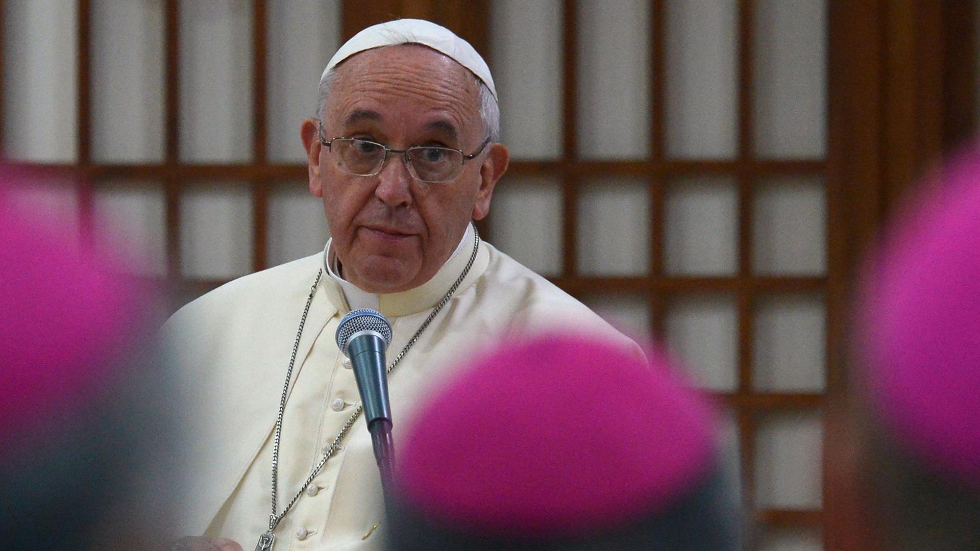 Papst Franziskus mit ernstem Gesicht, davor drei Hinterköpfe von Bischöfen