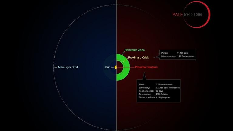 Ein Vergleich der habitablen Zonen von Erde und Proxima Centauri