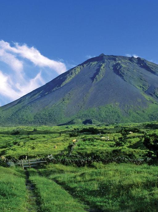 Blick auf den Vulkan Pico auf der gleichnamigen Insel