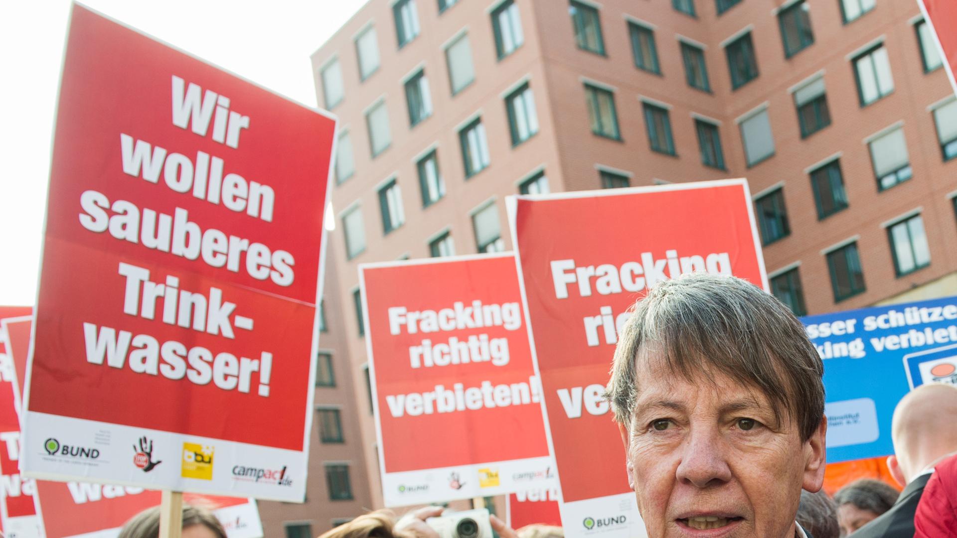Bundesumweltministerium in Berlin mit Anhängern und Funktionären von Umweltschutzorganisationen Bundesumweltministerium in Berlin mit Anhängern und Funktionären von Umweltschutzorganisationen
