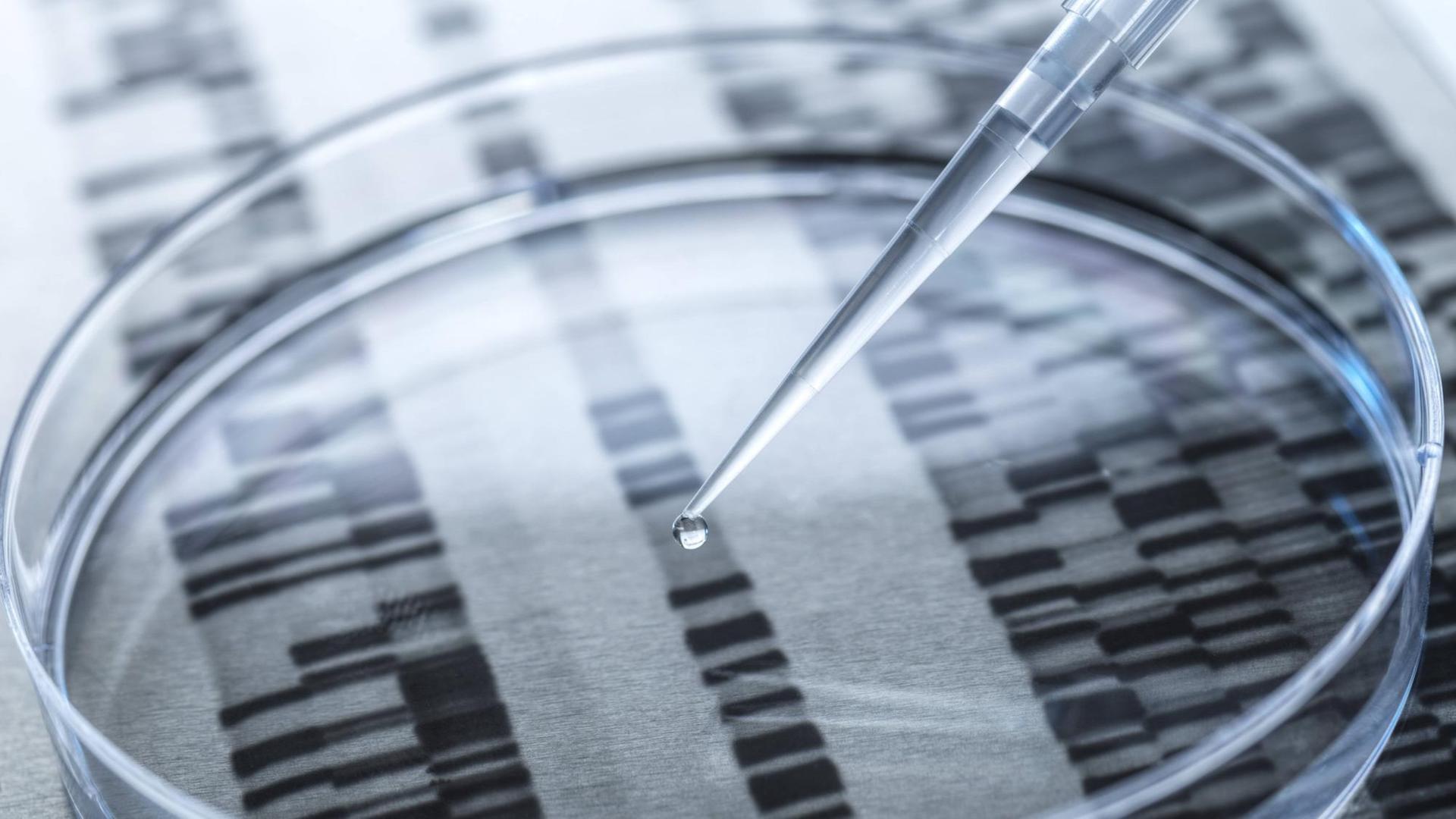Das Foto zeigt eine Petrischale mit einer Pipette, unter der durchsichtigen Petrischale sieht man eine Aufnahme von DNS Sequenzen.