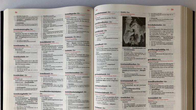 2547286115_Thesaurus aufgeschlagen.jpg
Aufgeklapptes Buch "Thesaurus rex" aus dem Luzerner "Verlag Der gesunde Menschenversand", ein Wörterbuch der Wortschöpfungen. 