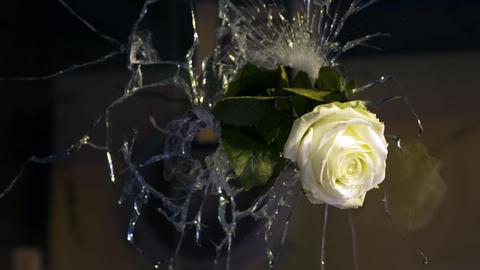 Eine weiße Rose hängt einem Einschussloch in Paris.