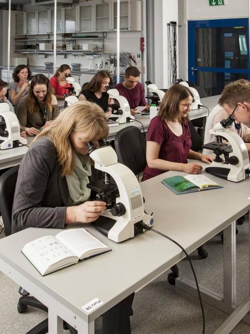 Menschen sitzen in Duisburg in einem Mikroskopierkurs, schauen in die Mikroskope, ein Lehrer hilft.