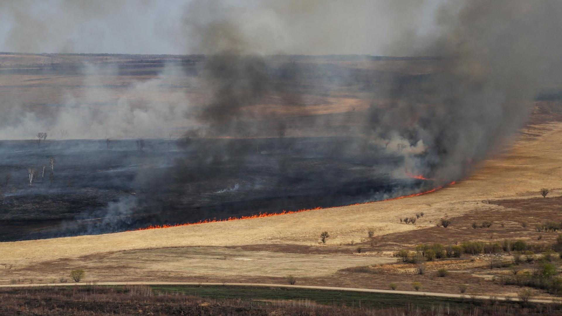 Waldfeuer in Sibirien in der Amur-Region Waldfeuer in Sibirien in der Amur-Region