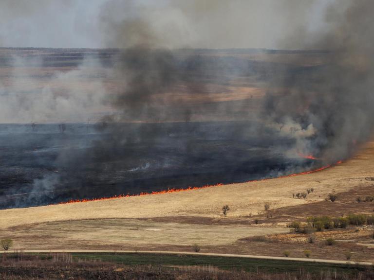 Waldfeuer in Sibirien in der Amur-Region