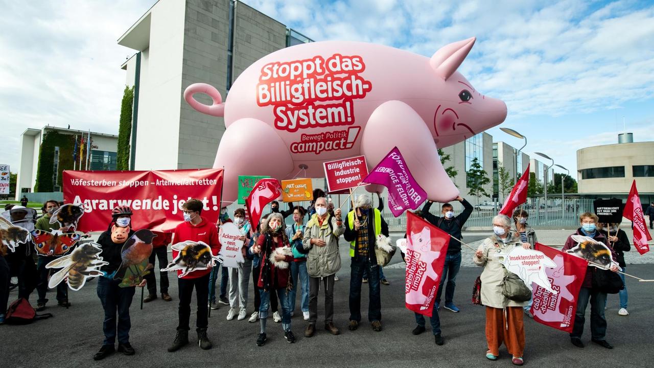 Aktivisten von Campact und anderen Umwelt-Organisationen protestieren mit einem aufblasbaren Riesenschwein vor dem Bundeskanzleramt für einen Neustart der Agrarpolitik. Aktivisten von Campact und anderen Umwelt-Organisationen protestieren mit einem aufblasbaren Riesenschwein vor dem Bundeskanzleramt für einen Neustart der Agrarpolitik.