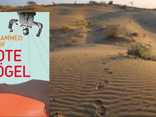 Buchcover "Rote Vögel" von Mohammed Hanif, im Hintergrund Fußspuren im Wüstensand