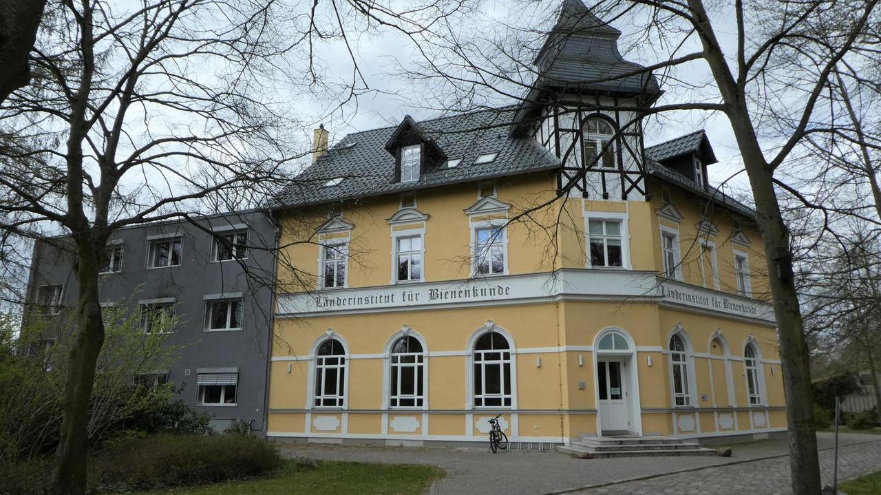 Gebäudesitz des Länderinstituts für Bienenkunde Gebäudesitz des Länderinstituts für Bienenkunde