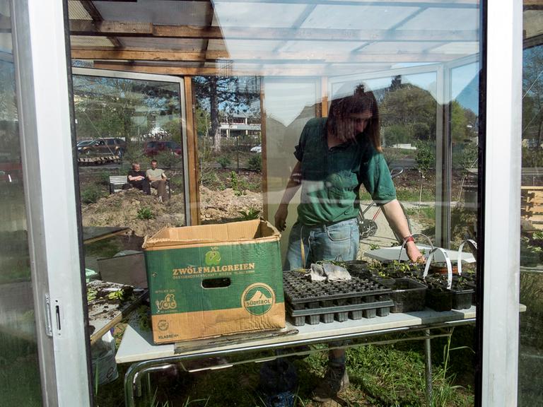 Auch das ein Projekt von Transition Town Witzenhausen: der Mehrgenerationengarten Auch das ein Projekt von Transition Town Witzenhausen: der Mehrgenerationengarten