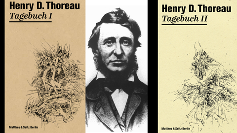 Buchcover Henry D. Thoreau - Tagebücher