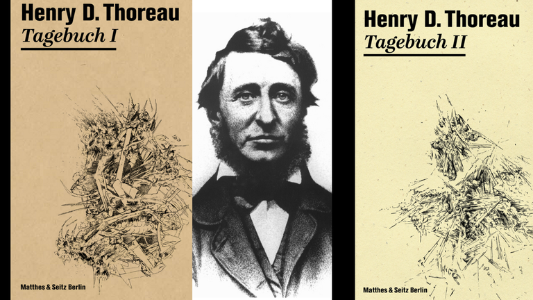Buchcover Henry D. Thoreau - Tagebücher Buchcover Henry D. Thoreau - Tagebücher
