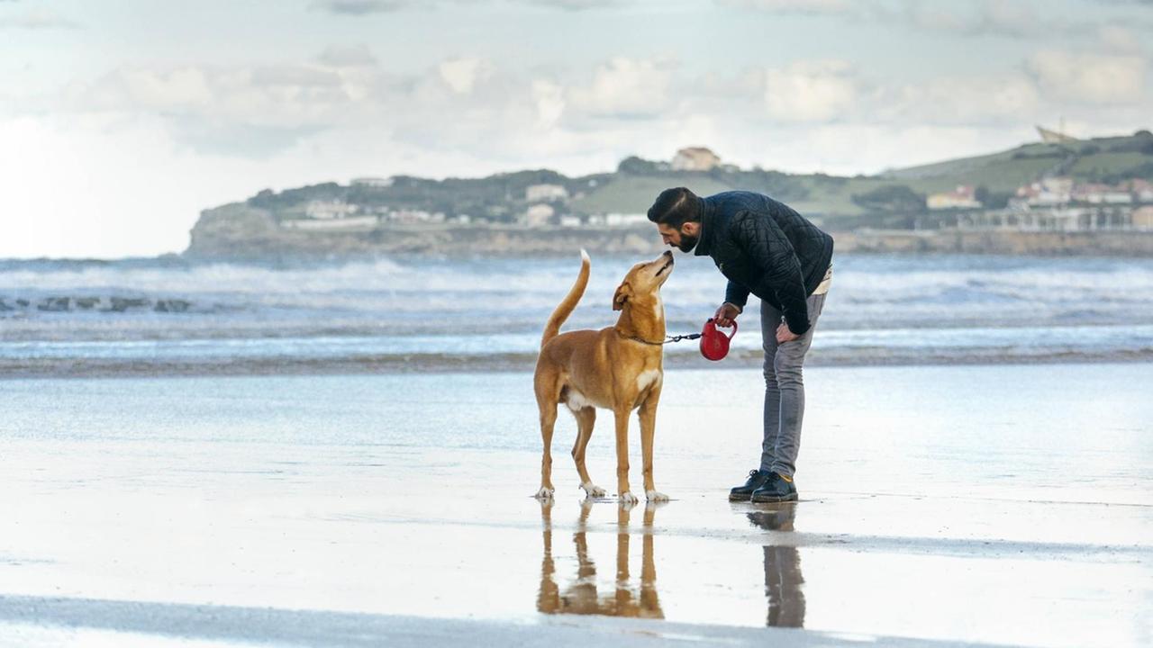 Ein Mann mit einem Hund am Strand. Ein Mann mit einem Hund am Strand.