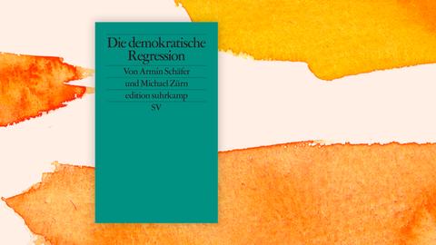 Das Buchcover "Die demokratische Regression" von Armin Schäfer und Michael Zürn ist vor einem grafischen Hintergrund zu sehen.