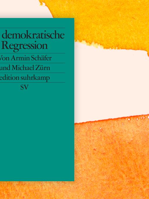 Das Buchcover "Die demokratische Regression" von Armin Schäfer und Michael Zürn ist vor einem grafischen Hintergrund zu sehen.