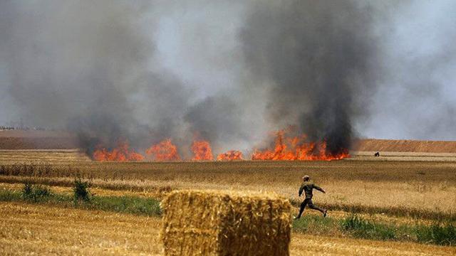 Die von der Israelischen Feuer- und Rettungsbehörde zur Verfügung gestellte Aufnahme zeigt einen Mann, der vor einem brennenden Getreidefeld entlangläuft. Im Hintergrund brennt ein Feuer, das von brennenden Drachen aus dem Gazastreifen ausgelöst wurden.