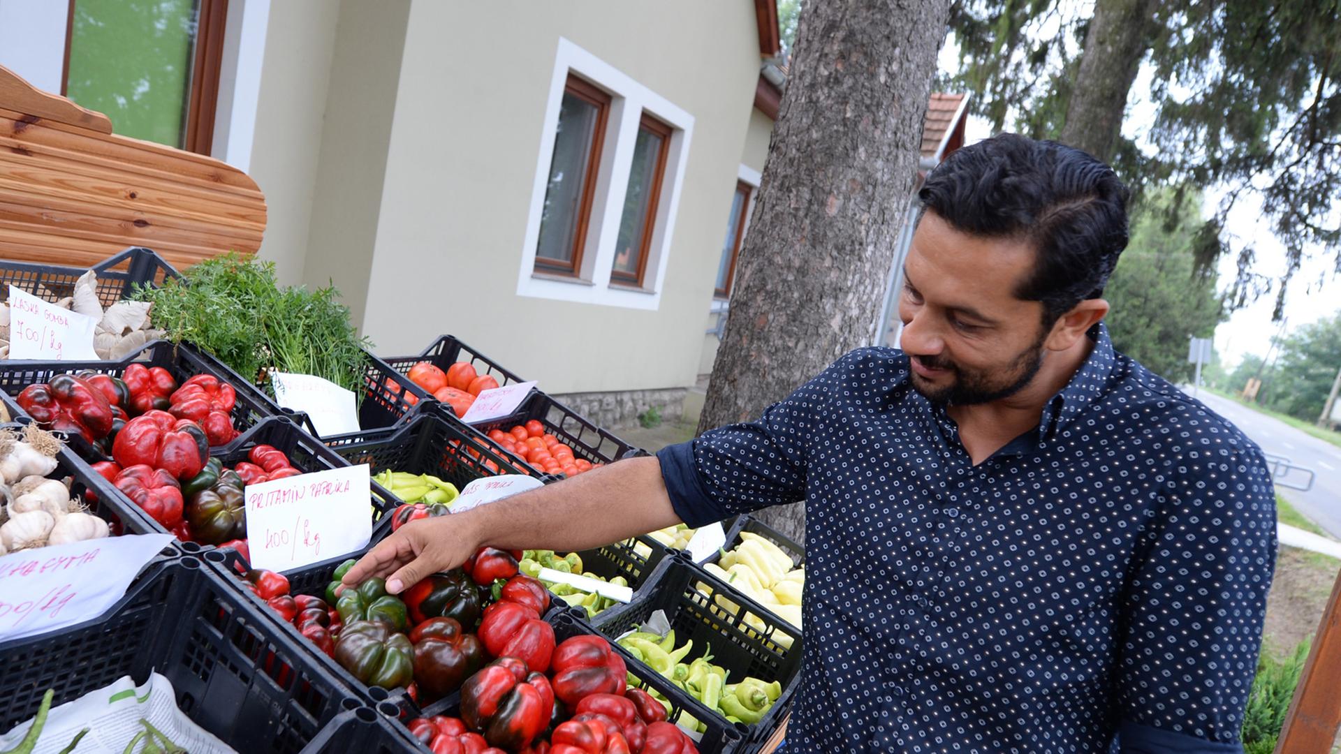 Der Bürgermeister von Cserdi, László Bogdán, hat viel in seinem Dorf verändert. Hier steht er vor selbst produziertem Gemüse aus dem Dorf. Der Bürgermeister von Cserdi, László Bogdán, hat viel in seinem Dorf verändert. Hier steht er vor selbst produziertem Gemüse aus dem Dorf.