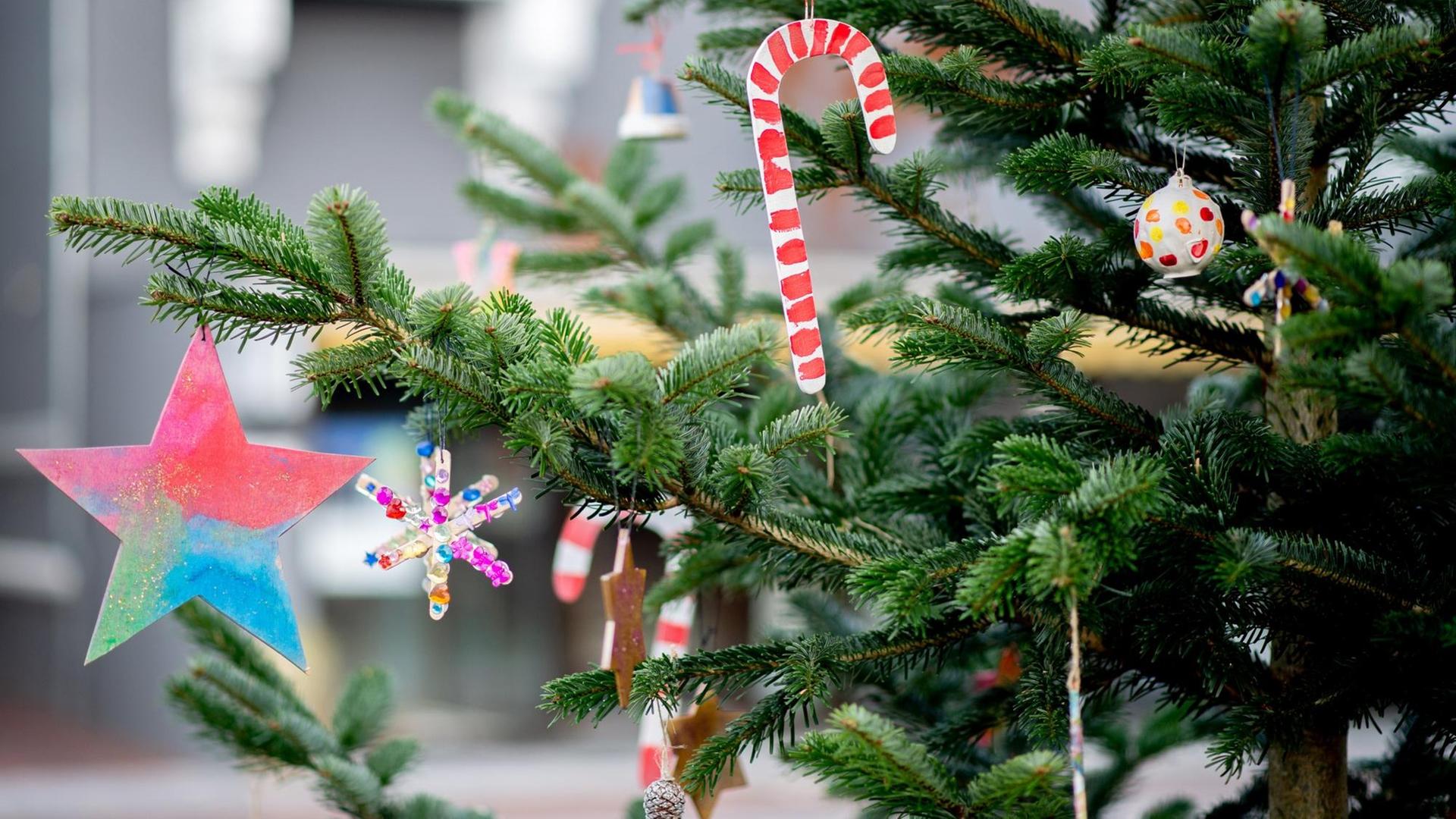 Weihnachtliche Dekoration mit Sternen hängt an einem Tannenbaum