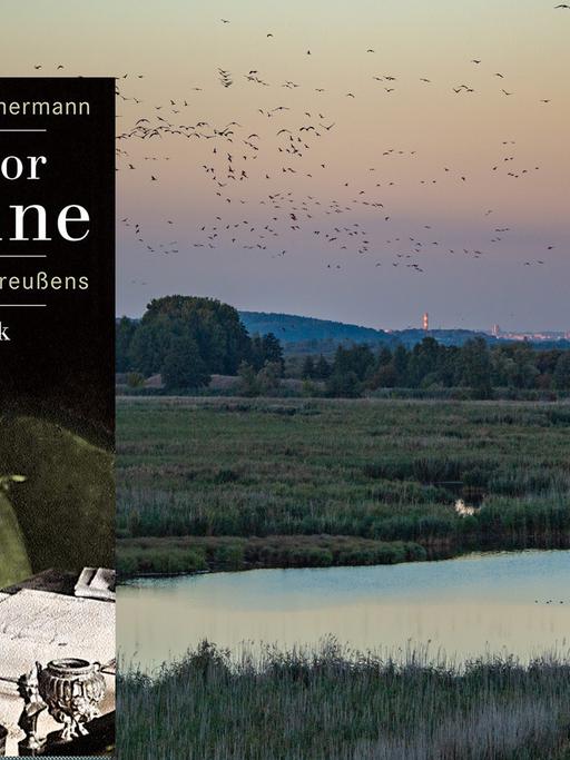 Cover von Hans Dieter Zimmermanns Buch "Theodor Fontane". Im Hintergrund fliegen Kraniche im letzten Tageslicht über das Poldergebiet an der Westoder.