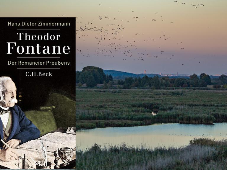 Cover von Hans Dieter Zimmermanns Buch "Theodor Fontane". Im Hintergrund fliegen Kraniche im letzten Tageslicht über das Poldergebiet an der Westoder.