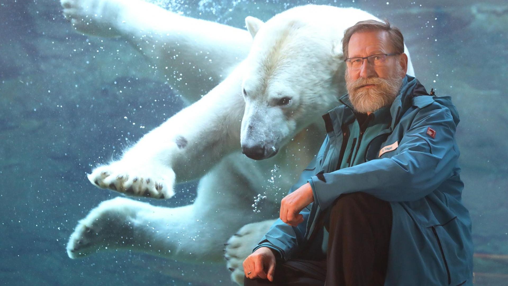 Ex-Zoodirektor Udo Nagel vor einem tauchenden Eisbären im Polarium des Rostocker Zoos.