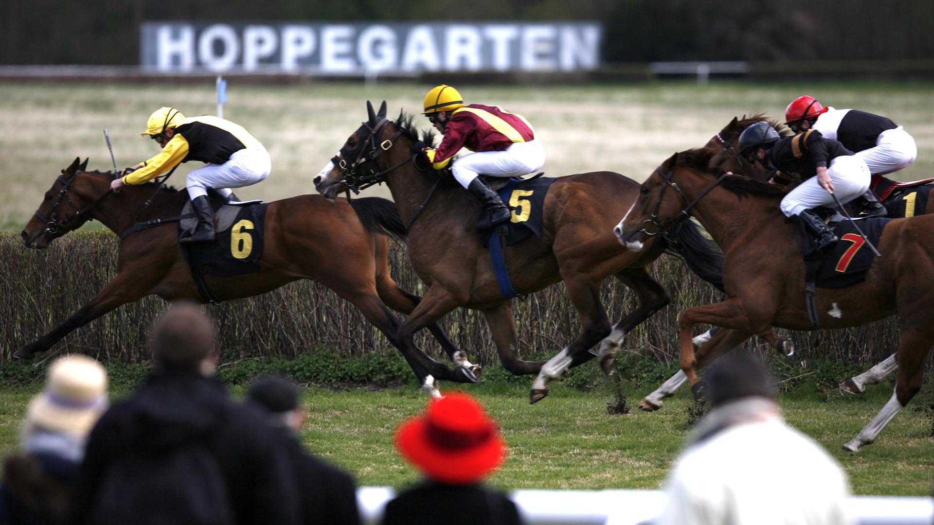 Zuschauer sehen sich auf der Rennbahn Hoppegarten einen Lauf an, aufgenommen 2012 Zuschauer sehen sich auf der Rennbahn Hoppegarten einen Lauf an, aufgenommen 2012