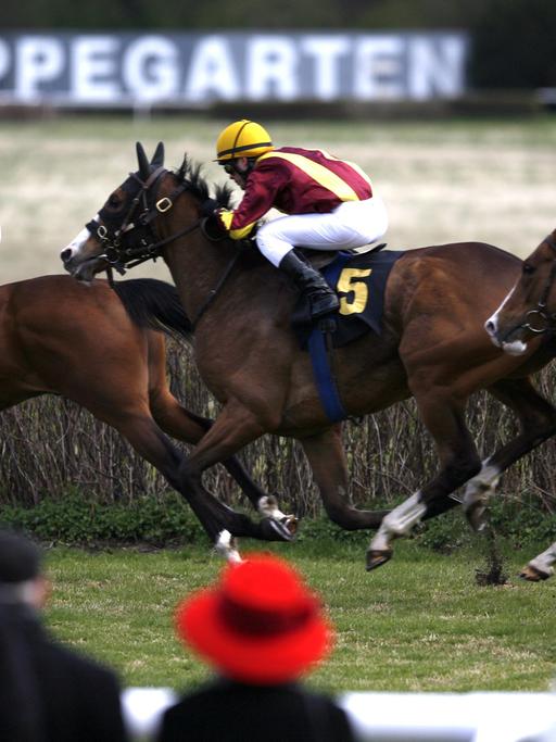 Zuschauer sehen sich auf der Rennbahn Hoppegarten einen Lauf an, aufgenommen 2012