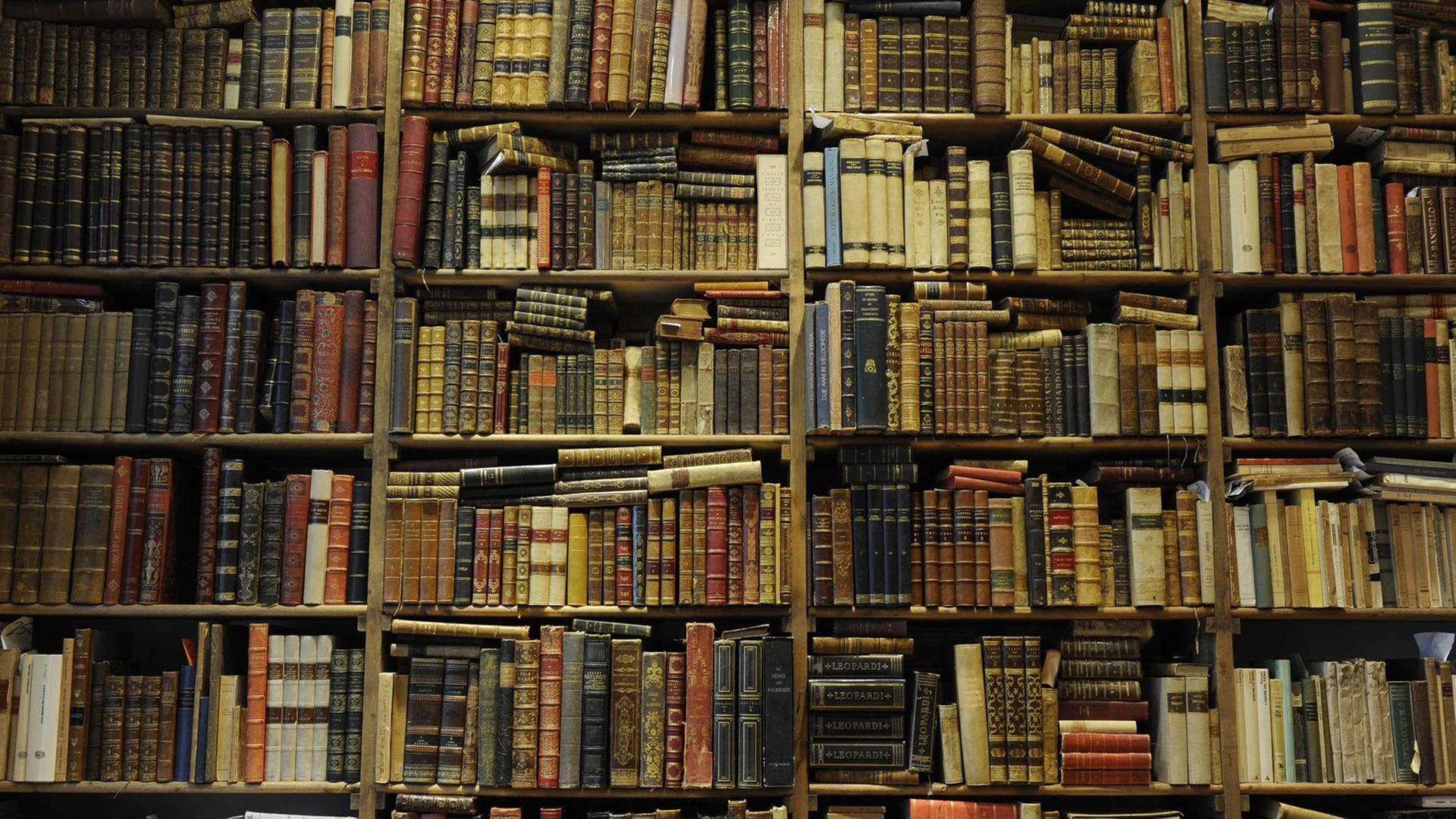 Schon Erasmus von Rotterdam wusste: "Der Umgang mit Büchern führt zum Wahnsinn". Schon Erasmus von Rotterdam wusste: "Der Umgang mit Büchern führt zum Wahnsinn".