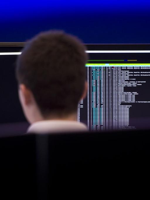 Ein Mitarbeiter arbeitet an einem Computermonitor, auf dem ein Quellcode angezeigt wird.