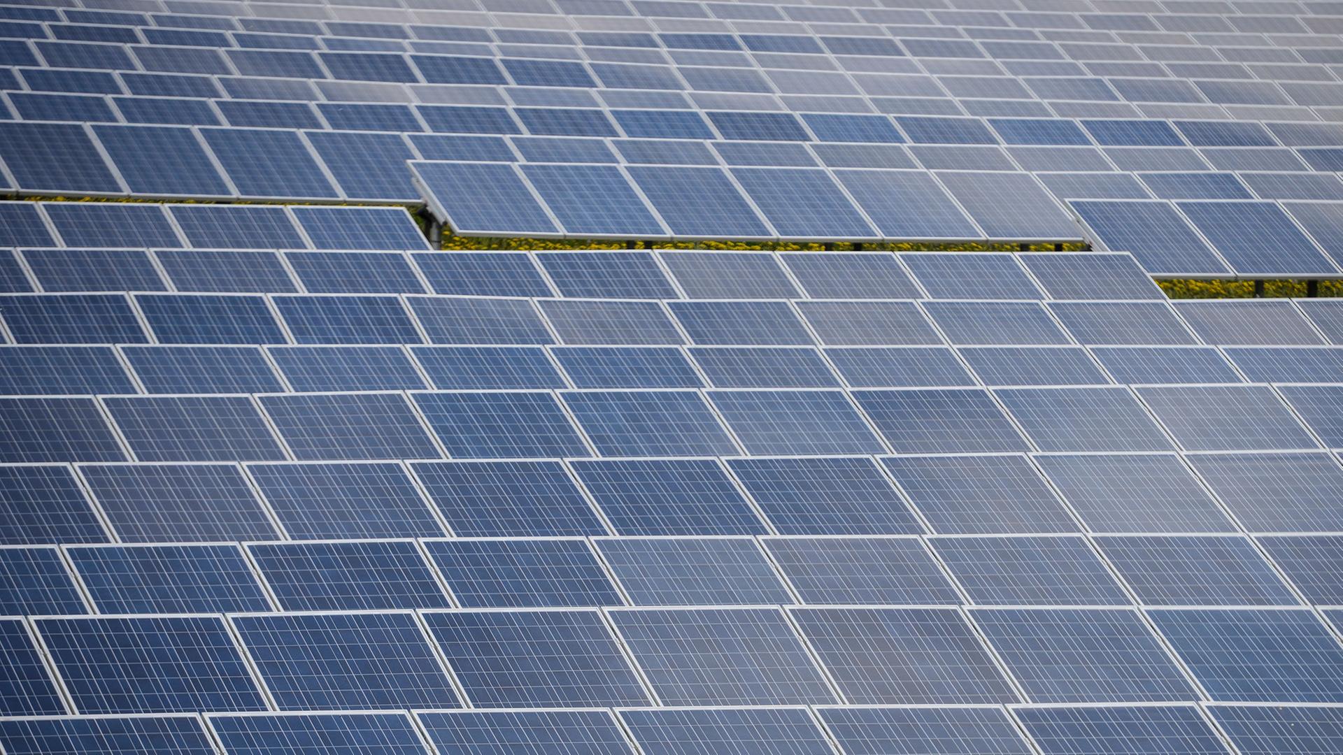 Dutzende Sonnenkollektoren stehen am in einem Solarpark des Photovoltaik-Spezialisten IBC Solar an der Autobahn 70 bei Buckendorf (Bayern). Dutzende Sonnenkollektoren stehen am in einem Solarpark des Photovoltaik-Spezialisten IBC Solar an der Autobahn 70 bei Buckendorf (Bayern).