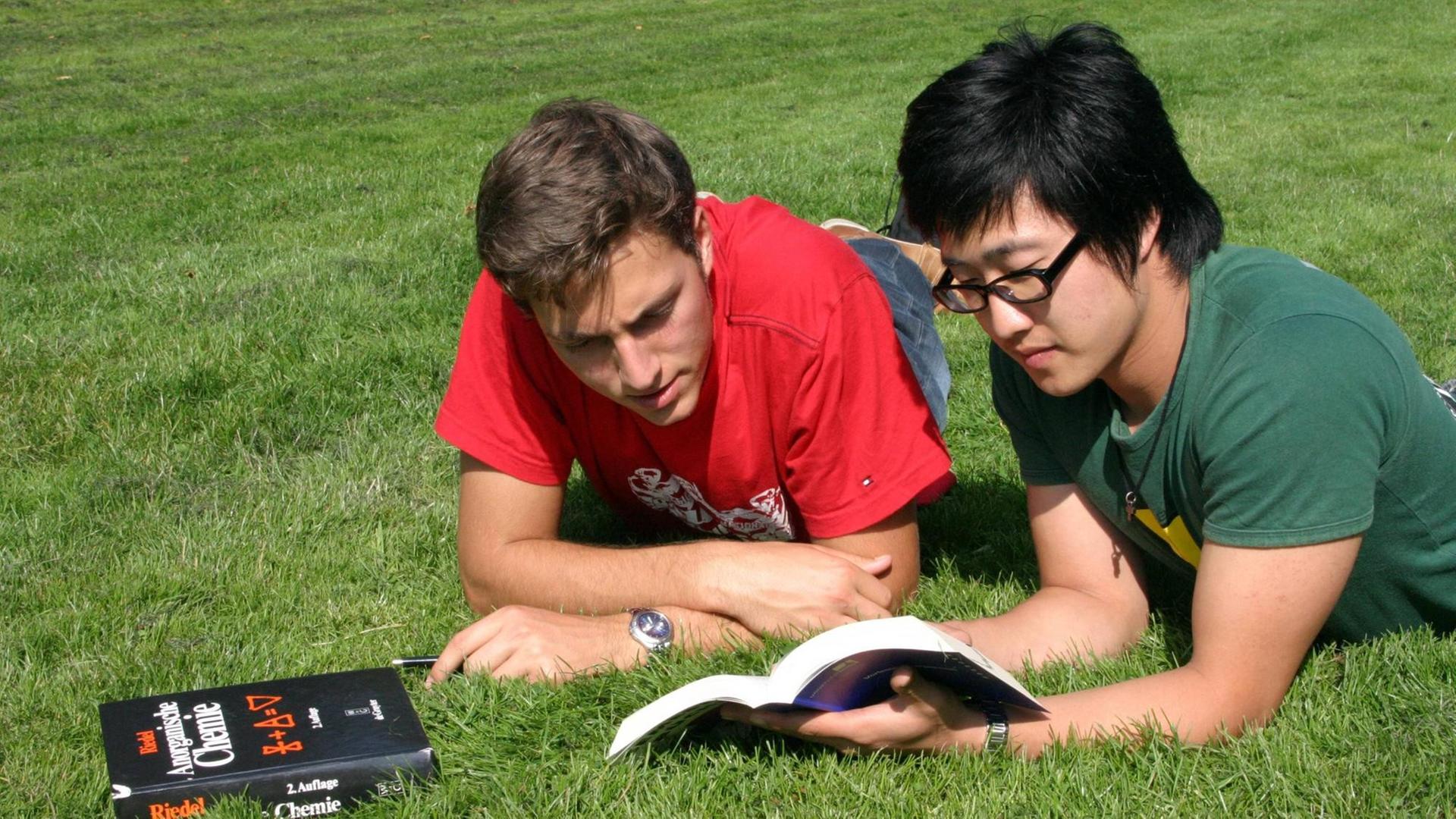 Zwei Studierende unterschiedlicher Nationalität aud einer Wiese Zwei Studierende unterschiedlicher Nationalität aud einer Wiese