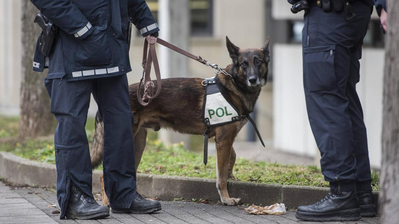 Ein Polizeihund mit zwei Polizisten in schwerer Einsatzkleidung. Ein Polizeihund mit zwei Polizisten in schwerer Einsatzkleidung.