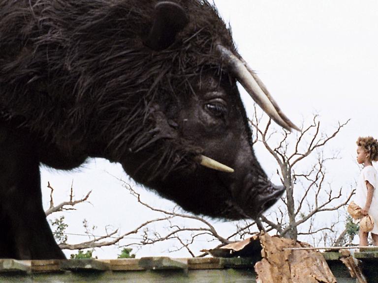 Szene aus dem Film "Beasts of the Southern Wild" von Benh Zeitlin
