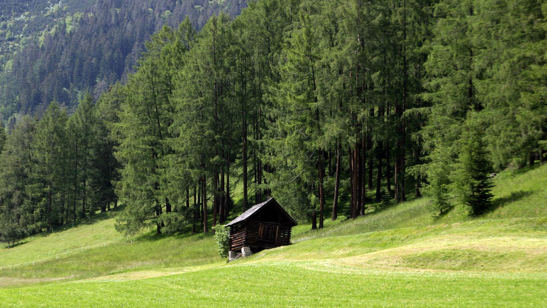 Eine Holzhütte am Waldrand in Tirol - Österreich. Eine Holzhütte am Waldrand in Tirol - Österreich.
